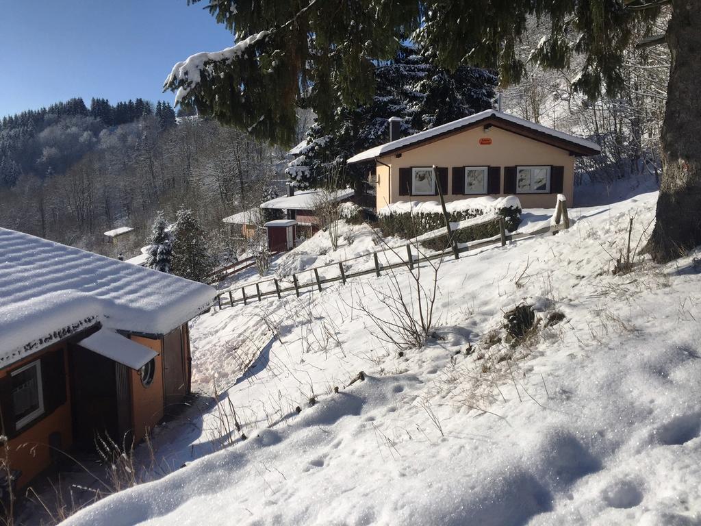 Schoene Aussicht Sankt Andreasberg Zewnętrze zdjęcie