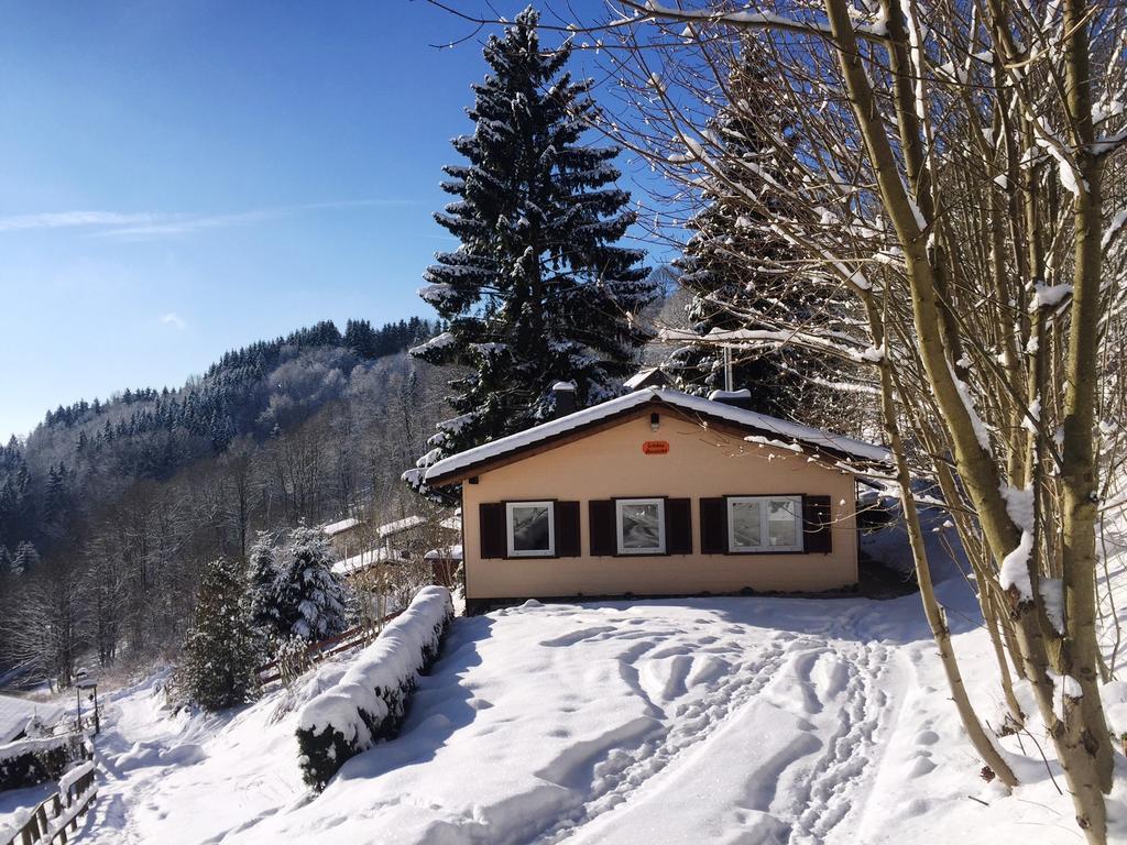 Schoene Aussicht Sankt Andreasberg Zewnętrze zdjęcie
