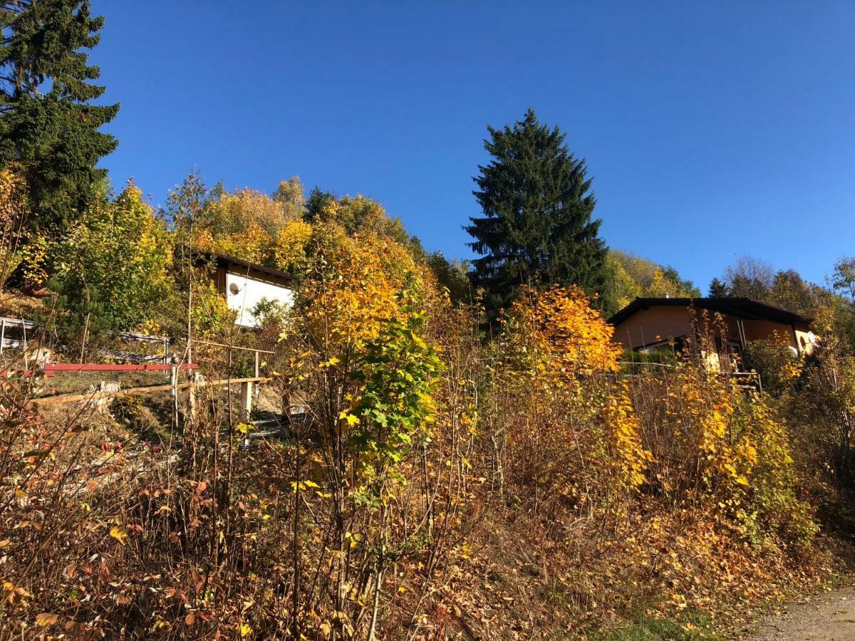Schoene Aussicht Sankt Andreasberg Zewnętrze zdjęcie