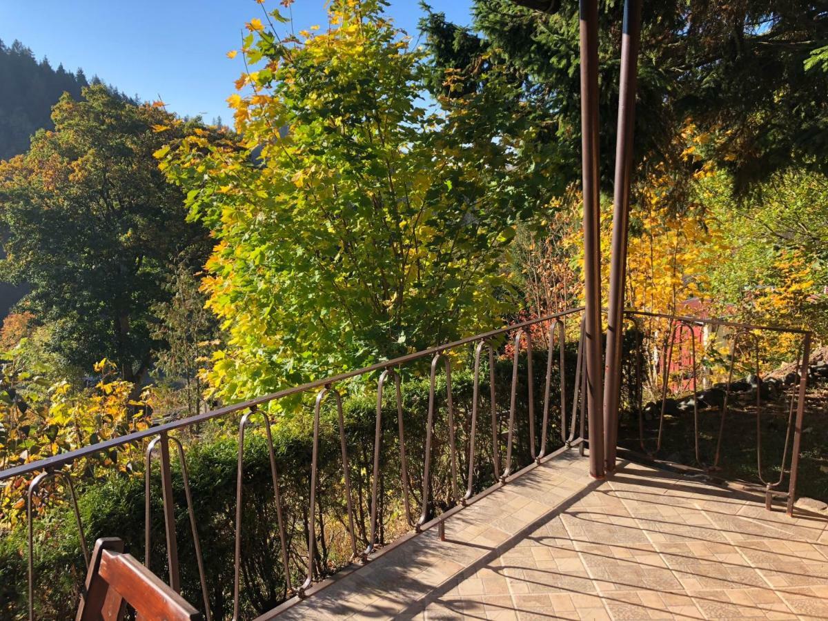 Schoene Aussicht Sankt Andreasberg Zewnętrze zdjęcie
